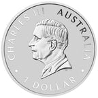 Australischer Schwan 2026 – ANDA Coin Show Perth | 1 oz Silbermünze | Ag .999 | Proof Color | The Perth Mint