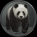 Silver Shadow Minting – Panda 2026 – 1 oz Silbermünze | Vorderseite | MM-Edelmetalle