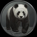 Silver Shadow Minting – Panda 2026 – 1 oz Silbermünze | Vorderseite | MM-Edelmetalle