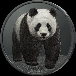 Silver Shadow Minting – Panda 2026 – 1 oz Silbermünze | Vorderseite | MM-Edelmetalle