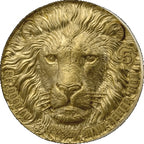 Big Five Africa – Lion 2025 – 5 g Goldmünze | Vorderseite | MM-Edelmetalle