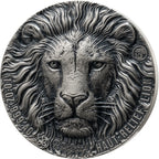 Big Five Africa – Lion 2026 – 10 oz Silbermünze | Vorderseite | MM-Edelmetalle