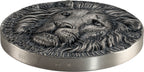 Big Five Africa – Lion 2026 – 10 oz Silbermünze | Produktbild 3 | MM-Edelmetalle