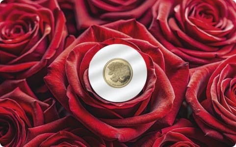 Roses of Gold 2026 – 0,5 g Goldmünze | Vorderseite | MM-Edelmetalle