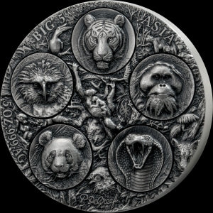 Big Five Asia – Completer Coin 2026 – 5 oz Silbermünze | Vorderseite | MM-Edelmetalle
