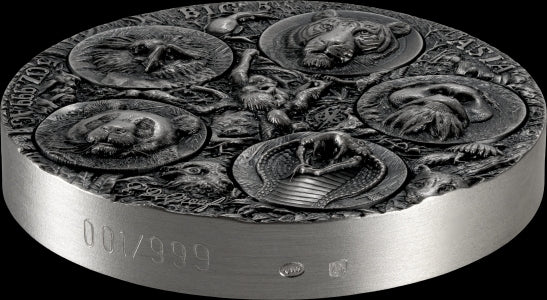 Big Five Asia – Completer Coin 2026 – 5 oz Silbermünze | Produktbild 3 | MM-Edelmetalle