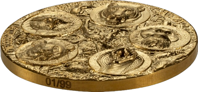 Big Five Asia – Completer Coin Gold 2026 – 1/2 oz Goldmünze | Produktbild 3 | MM-Edelmetalle
