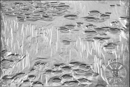 Advanced Art Smart Dimension – Water Lilies 2026 – 1/2 oz Silbermünze | Rückseite | MM-Edelmetalle