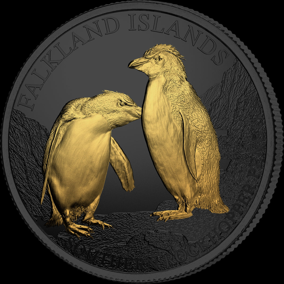 Golden Enigma – 1 oz Southern Rockhopper Penguin 2026 – Sammlermünze | Vorderseite | MM-Edelmetalle