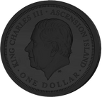 Bull and Bear - Enigma Edition 2026 - 1 oz Silver (Customer Order)