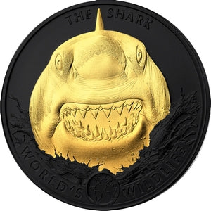 Golden Enigma – 1 oz Shark 2026 – Silbermünze – Produktansicht