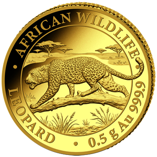 African Wildlife Leopard 2026 – 0,5 g Goldmünze Au .999 | Polierte Platte | Somalia | kaufen Graz Kärnten