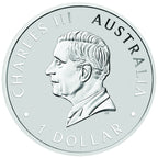 Australischer Keilschwanzadler 1 oz Silber Polierte Platte 2026 – Perth Mint
