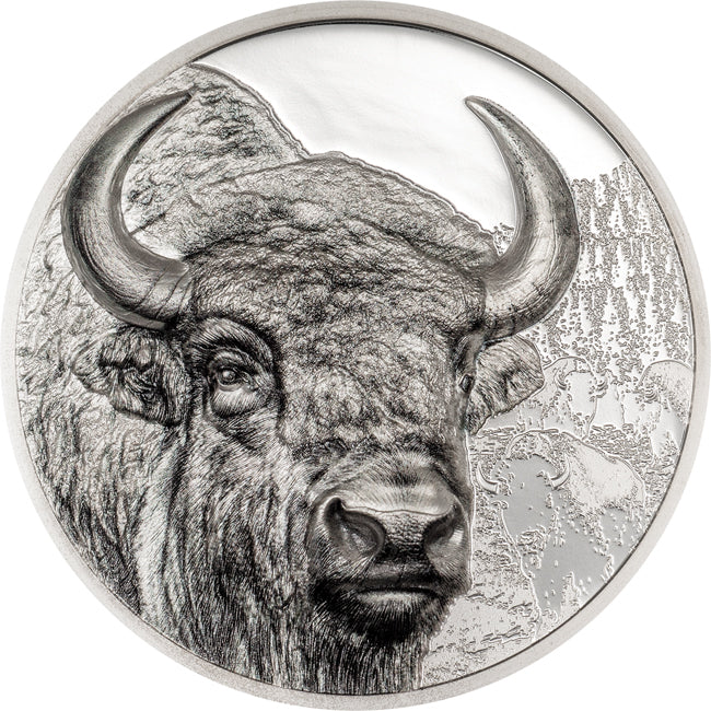 BISON - Mongolei 2025 - 3 Oz Silber PP Proof - Ultra High Relief
