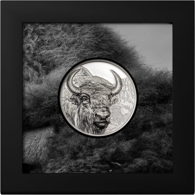 BISON - Mongolei 2025 - 3 Oz Silber PP Proof - Ultra High Relief