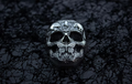 Silbermedaille 2 oz – Calavera de Plata Skull Stacker 2026 | Ag .999 | Korea | Limitiert 3.000 Stück