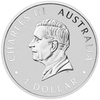 Australian Swan 1 oz Silber 999,9 2026 – Perth Mint (10. Jubiläum „P10“)