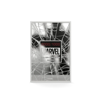 Spider-Man - Agoro Silberfolie The Power, The Duty, The Choice Ag 2 $ PP Niue 2026