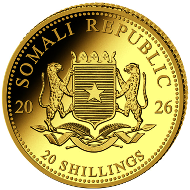 Rückseite African Wildlife Leopard 2026 – 0,5 g Gold Au .999 | PP | 5.000 Stück limitiert | Somalia
