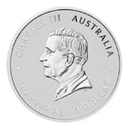 Chinese Myths and Legends: Drache & Pferd Opalite Farbig 1 oz Silber 9999 2026 – Perth Mint