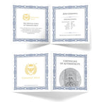 Germania Mint: Germania 1 Ounce Silver 2026 - BU