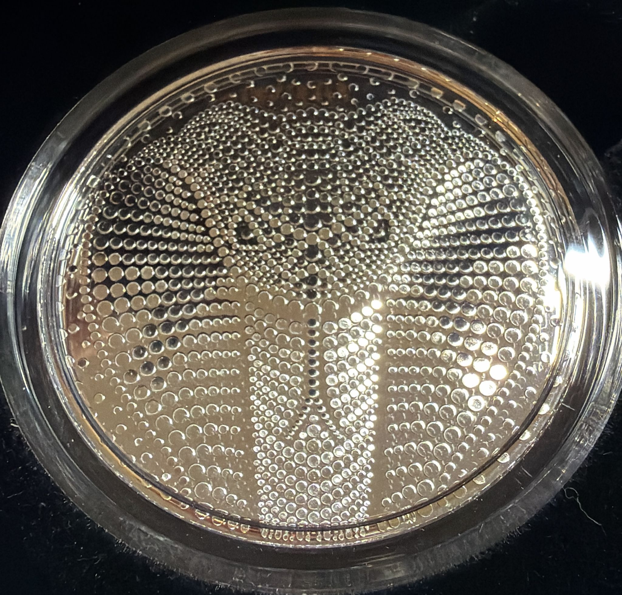 Lunar Schlange 2 oz Silber 2025 - Jahr der Schlange Niue